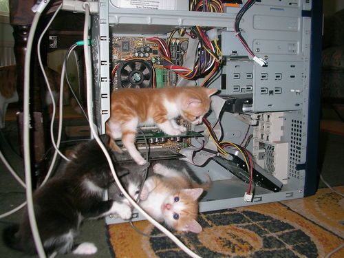 catcomputer